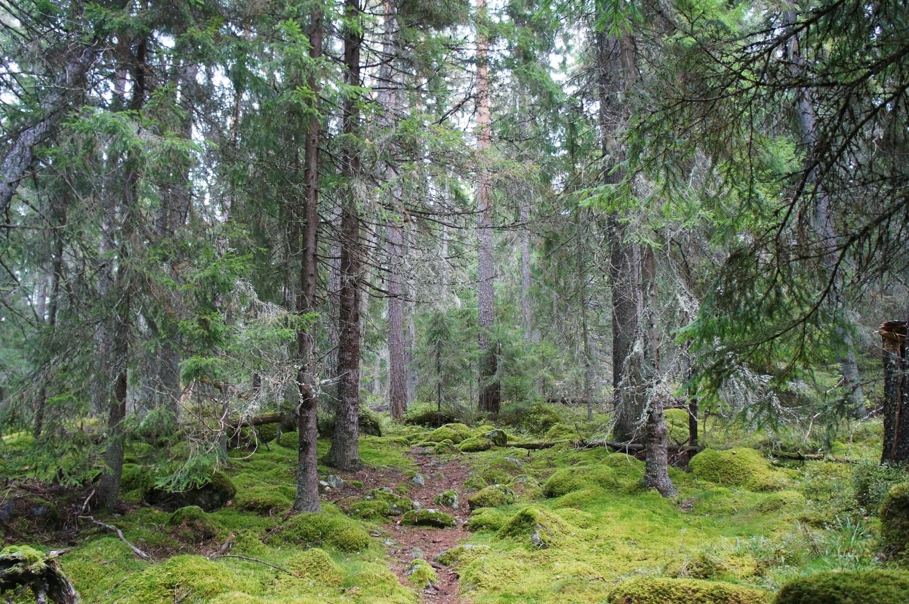 Ipcc Och Klimatpolitiska R Det Accelerera Omst Llningen Snarast