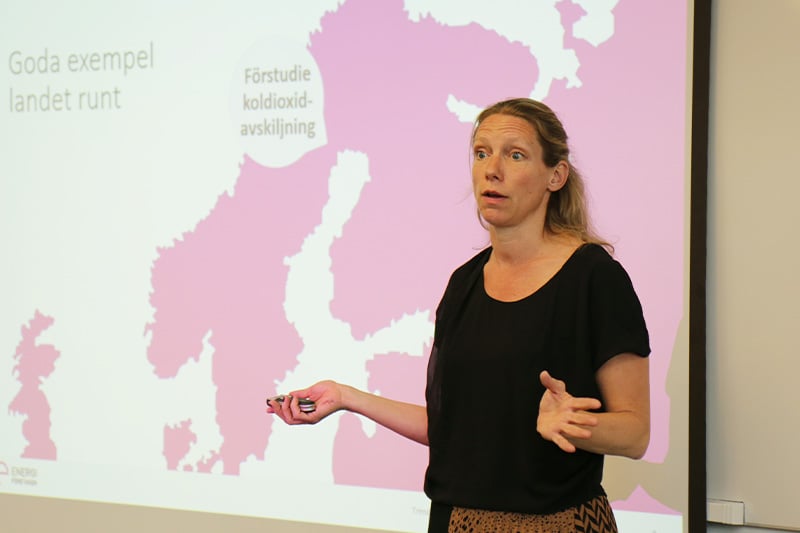 åsa-pettersson-omvärldsspaning-regionmote-vt-22-800x533.jpg